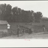 Driving the cavy to water, Quarter Circle U Ranch, Montana