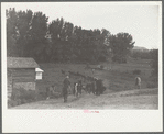 Driving the cavy to water, Quarter Circle U Ranch, Montana