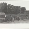 Driving the cavy to water, Quarter Circle U Ranch, Montana