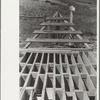 Cattle guard, Custer County, Montana