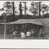 Dudes and cowboys, Three Circle roundup camp, Powder River County, Montana