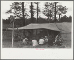 Dudes and cowboys, Three Circle roundup camp, Powder River County, Montana