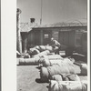 Bedrolls used in the roundup, Quarter Circle U Ranch, Big Horn County, Montana