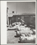 Bedrolls used in the roundup, Quarter Circle U Ranch, Big Horn County, Montana