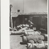 Bedrolls used in the roundup, Quarter Circle U Ranch, Big Horn County, Montana