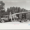 Loading the roundup trucks, Quarter Circle U Ranch, Big Horn County, Montana