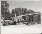 Loading the roundup trucks, Quarter Circle U Ranch, Big Horn County, Montana