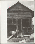 Moving bag of wool, Rosebud County, Montana