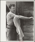 Sheepshearer washing, Rosebud County, Montana