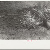 Branding fire, Three Circle roundup, Custer National Forest, Montana