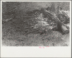 Branding fire, Three Circle roundup, Custer National Forest, Montana