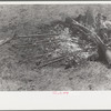 Branding fire, Three Circle roundup, Custer National Forest, Montana