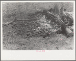 Branding fire, Three Circle roundup, Custer National Forest, Montana