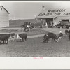 Gas station, Wibaux, Montana