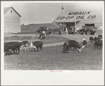 Gas station, Wibaux, Montana