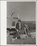 Setting up camp, Quarter Circle U roundup, Montana