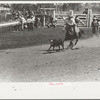 Roping a calf, rodeo, Miles City, Montana