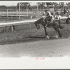 Riding a bucking horse, rodeo, Miles City, Montana