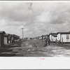 Housing in the Negro section of Belle Glade, Florida