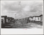 Housing in the Negro section of Belle Glade, Florida