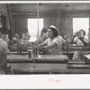 Sectioners at work canning grapefruit. About half of these girls are migrants. Winter Haven, Florida