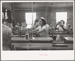 Sectioners at work canning grapefruit. About half of these girls are migrants. Winter Haven, Florida