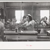 Sectioners at work canning grapefruit. About half of these girls are migrants. Winter Haven, Florida