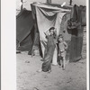 Two children of a migrant fruit worker from Tennessee, standing before their temporary home. This family of eight is camped in a field near the packinghouse at Winter Haven, Florida