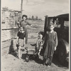 Children of a migrant fruit worker from Tennessee. The family is camped in a field near the packinghouse at Winter Haven, Florida. 1937