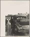Car used by migrant agricultural workers; the rear has been fixed up as a bed, near Winter Haven, Florida