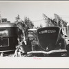 Scene in an auto trailer camp near Dania, Florida, where 200 cars are encamped. This is one of Florida's higher class trailer camps, the rates being $5.00 weekly including electricity