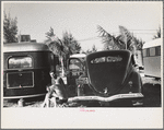 Scene in an auto trailer camp near Dania, Florida, where 200 cars are encamped. This is one of Florida's higher class trailer camps, the rates being $5.00 weekly including electricity