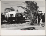 Some of the 200 trailers encamped at an auto-trailer camp near Dania, Florida. This is one of the better trailer camps in Florida, the rates being $5.00 weekly including electricity