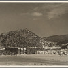 Pile of wood pulp. Groveton, New Hampshire