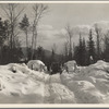 Winter logging operations. Coos County, New Hampshire