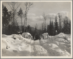 Winter logging operations. Coos County, New Hampshire