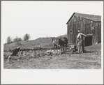 Vermont farmer