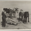 Removing drifts of soil which block the highways near Guymon, Oklahoma