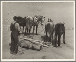 Removing drifts of soil which block the highways near Guymon, Oklahoma