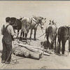 Removing drifts of soil which block the highways near Guymon, Oklahoma