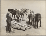 Removing drifts of soil which block the highways near Guymon, Oklahoma