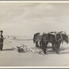 Removing drifts of soil which block the highways near Guymon, Oklahoma