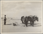 Removing drifts of soil which block the highways near Guymon, Oklahoma