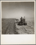 A farmer listing his fields under the wind erosion control program. He receives twenty cents an acre for the work. Liberal, Kansas