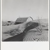 The winds of the "dust bowl" have piled up large drifts of soil against this farmer's barn near Liberal, Kansas