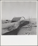 The winds of the "dust bowl" have piled up large drifts of soil against this farmer's barn near Liberal, Kansas