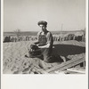 A farmer's son playing on one of the large soil drifts which threaten to cover up his home. Liberal, Kansas