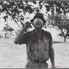 Threshing hand taking a drink, Frederick County, Maryland