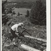 Sawing pulpwood on Kinneys' farm, Eden Mills, Vermont