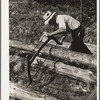 Cutting pulpwood, Eden Mills, Vermont